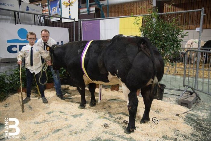 TIMAC AGRO BeLux au Concours-foire de la province du Hainaut 2020 à Ath le 8 janvier