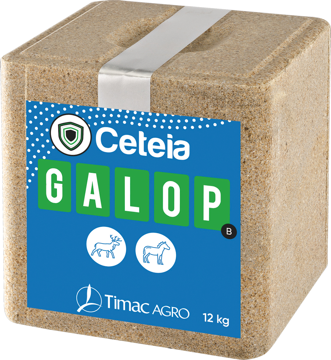 ceteia-galop-b-hd