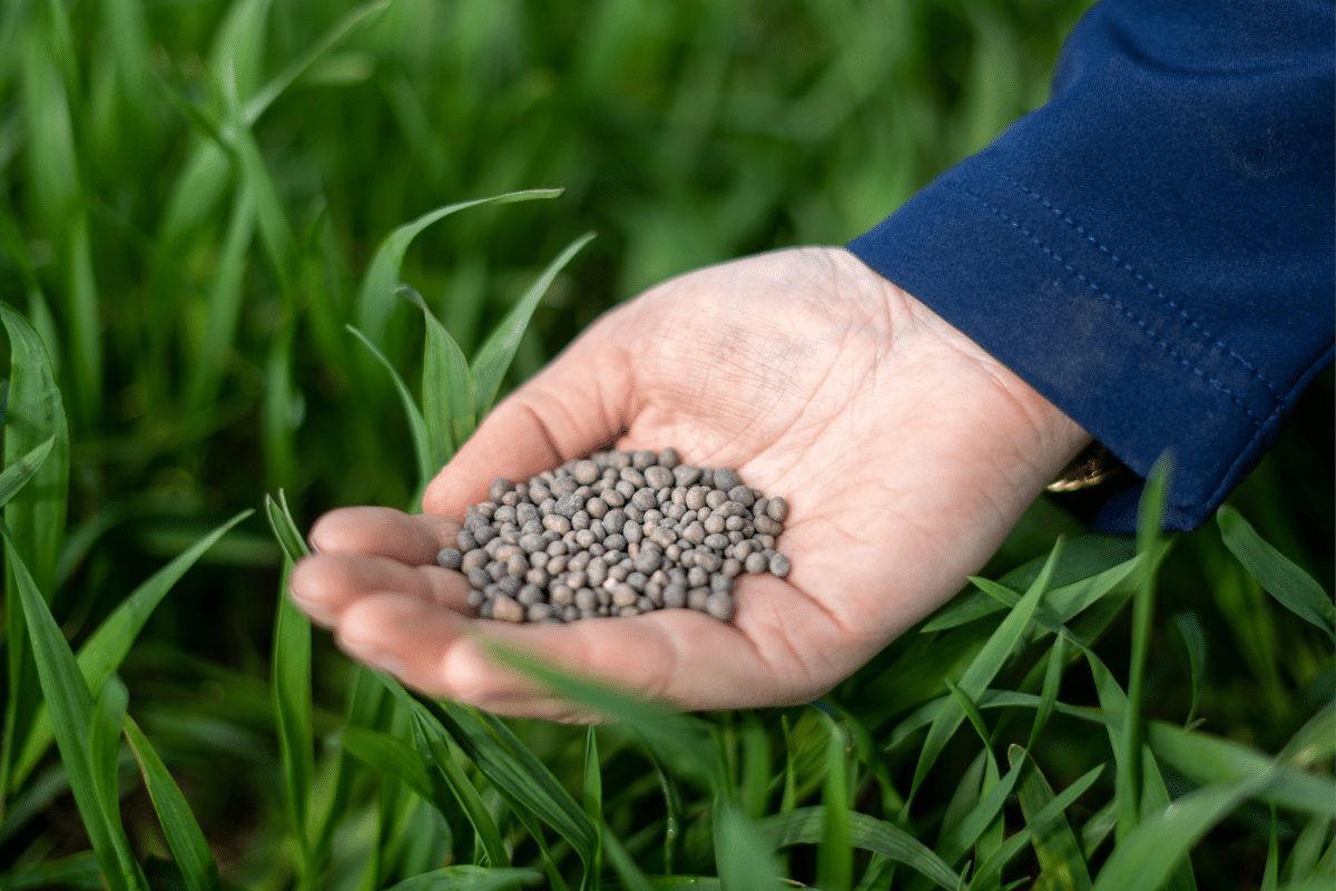 Nutrition végétale