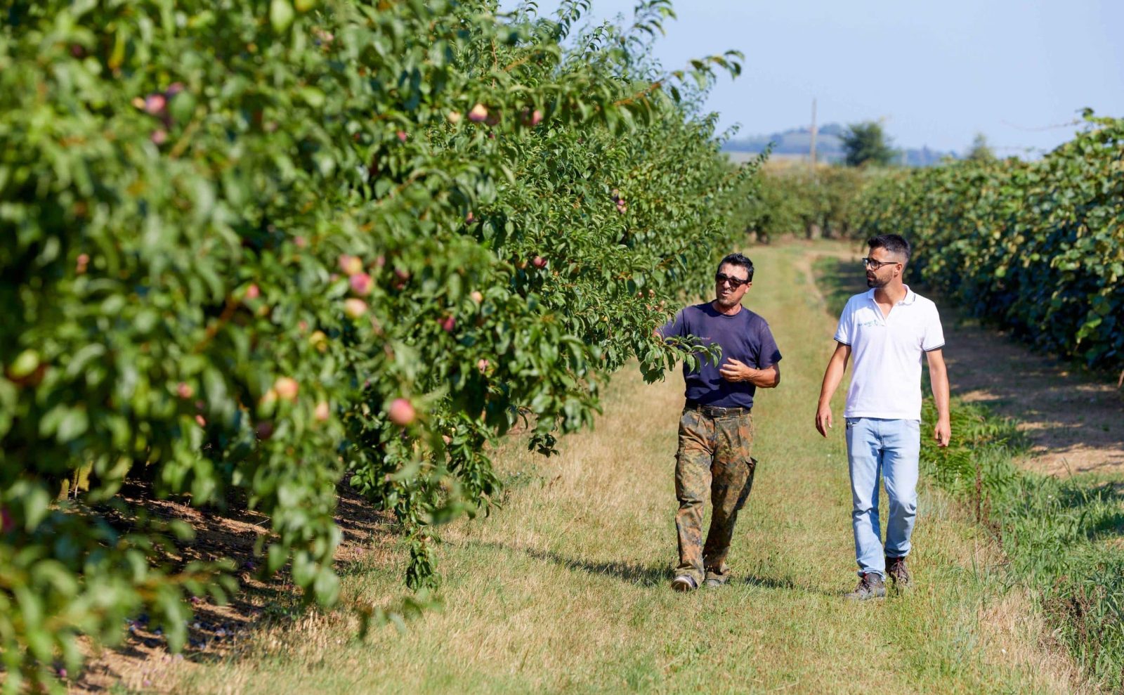 TIMAFEED ArCalg - TIMAC AGRO BELUX