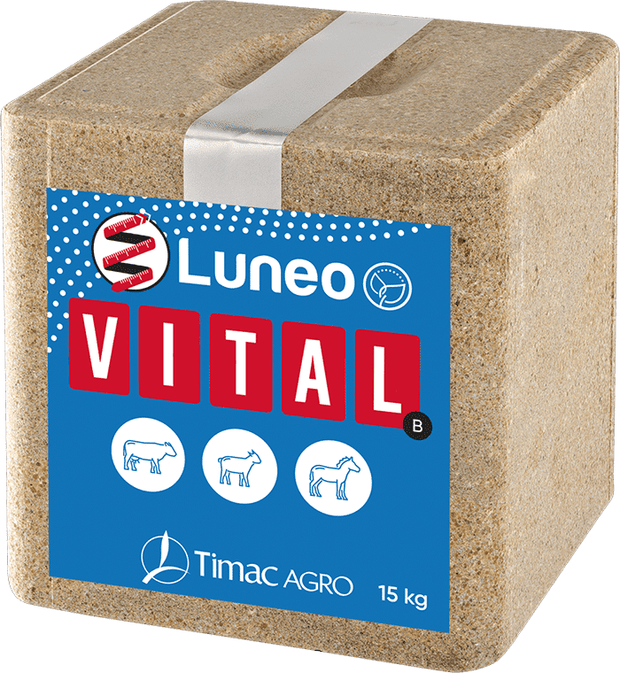 LUNEO VITAL B